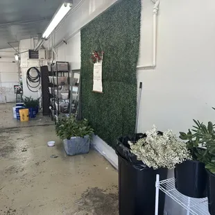 Floral room