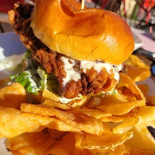 Side view of the gigantic fried chicken sandwich with sweet pickles and white BBQ vinegar sauce