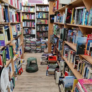 So much to choose from!