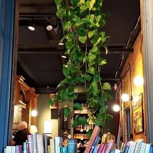 Get a book, bring a book