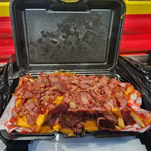 Pastrami and cheese fries