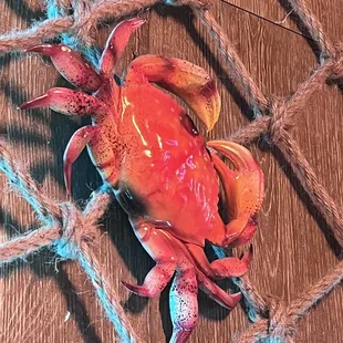 a crab on a net