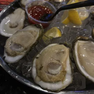 Big clean oysters