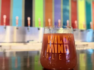 Wild Mind Ales