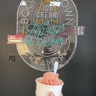 Orange cranberry sorbet - yum!