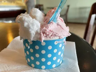 Il Dolce Gelato