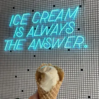 Chocolate Chip Cookie