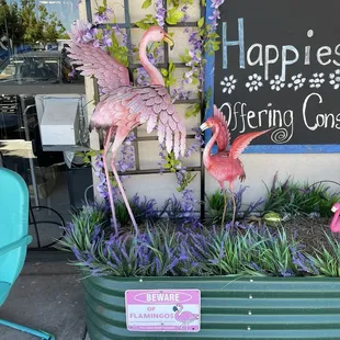 Boomerang Consignment and Resale