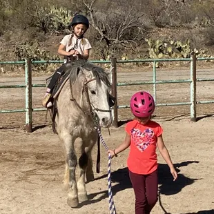 Pony rides