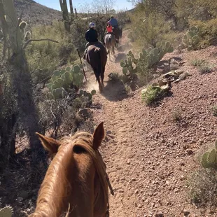 Horse ride