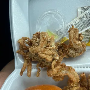 a fried chicken sandwich and an apple