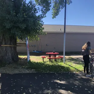 Outdoor seating and huge tree swing.