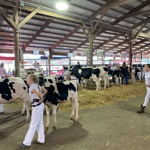 Dairy barn