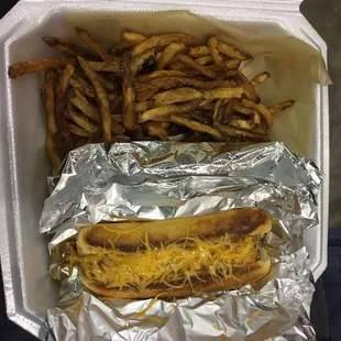 Dog with homemade chili