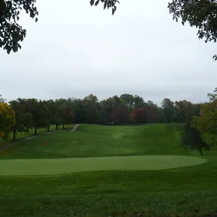 #9 green