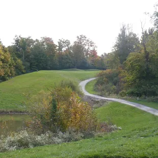 Ridgeview tee shot $6