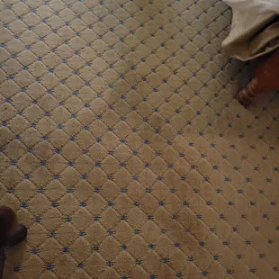 Wet carpet