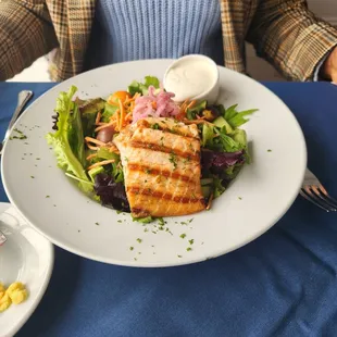 Salmon &amp; Salad