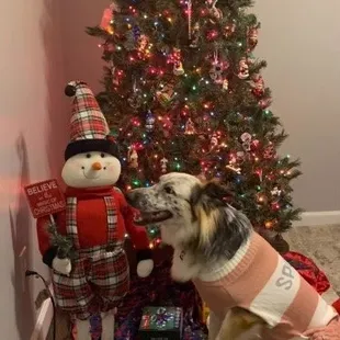 Kara first Christmas