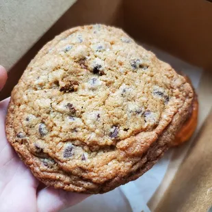 Chocolate Chip Cookie