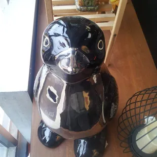 Sentry penguin. Angry