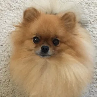 Janet K P.