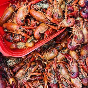 Boot T’s Seafood