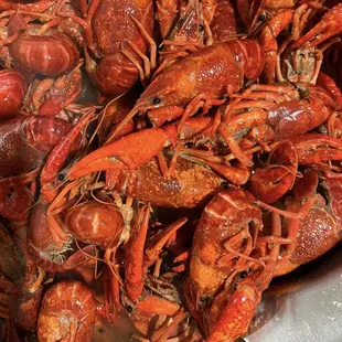a pile of craws
