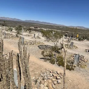 Photo taken over their privacy fence of the cemetery.