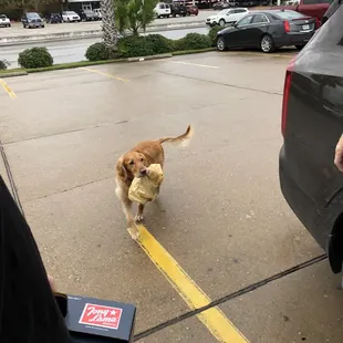 Employee of the month!