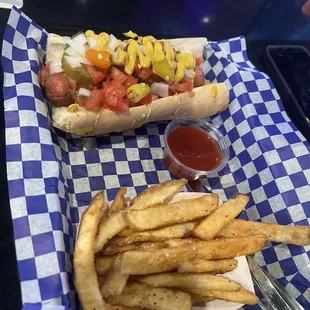 Chicago dog (it was cold) and fries