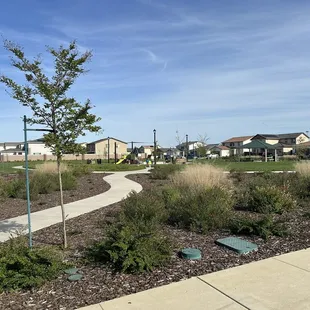 Walking path