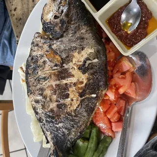 Golden Pompano