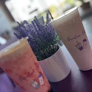 Strawberry Milk Tea &amp; Coconut Milk Tea