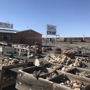 huge diverse collection inside and outside