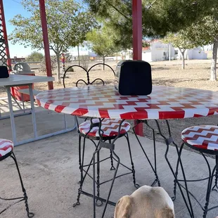 On the patio with our dog