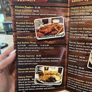 a hand holding a menu