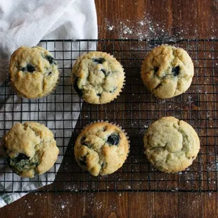 Blueberry muffins