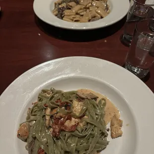 Spinach Chicken Fettuccine and pasta Beef Rigatoni