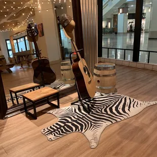 a guitar and a zebra rug