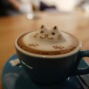 a cat in a cup