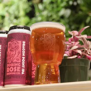 Dragon Point IPA - West Coast IPA - 6.5% ABV