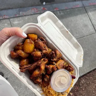 Fried Chicken Plate