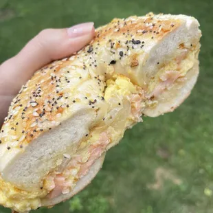 Lox, egg, onions on everything