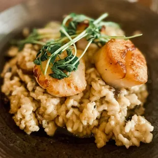 Scallop Risotto