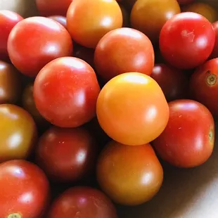 Fresh tomatoes