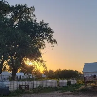 the setting of the setting sun