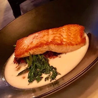 Salmon*