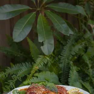 vegetarian lasagna