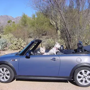 Some of our best customers drive Mini&apos;s
